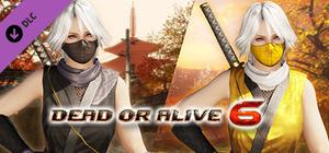 DOA6 Morphing Ninja Costume - Christie banner