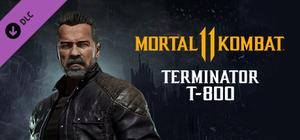 Mortal Kombat 11 Terminator T-800 banner