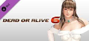DOA6 Happy Wedding Costume Vol.1 - Hitomi banner