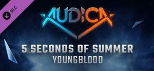 AUDICA - 5 Seconds of Summer - "Youngblood" banner