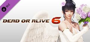 DOA6 Happy Wedding Costume Vol.1 - Nyotengu banner