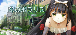 Winter Polaris banner