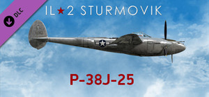 IL-2 Sturmovik: P-38J-25 Collector Plane banner
