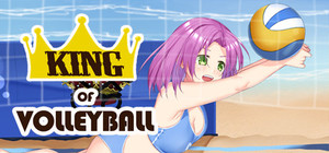 King of Volleyball banner