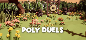 Poly Duels banner
