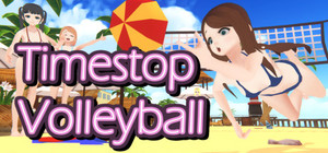 Timestop Volleyball banner