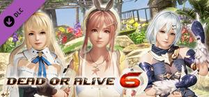 DOA6 Atelier Ryza Mashup Set banner