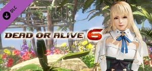 DOA6 Atelier Ryza Mashup - Marie Rose & Klaudia banner