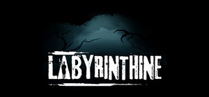 Labyrinthine banner