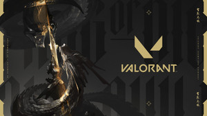 Valorant banner