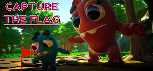 Capture the flag banner