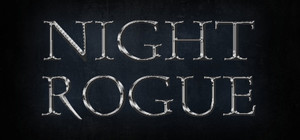 Night Rogue banner