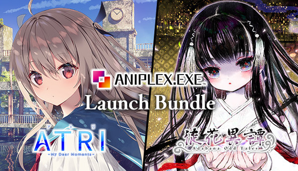 ANIPLEX.EXE LAUNCH