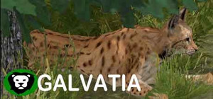 Galvatia banner