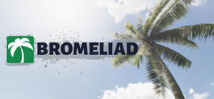Bromeliad banner