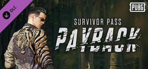 Survivor Pass: Payback banner