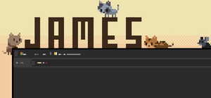 James banner