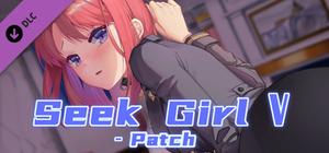 Seek Girl V - Patch banner