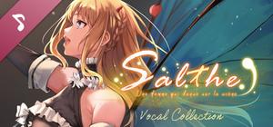 Salthe - Vocal Collection banner