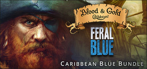 Caribbean Blue banner
