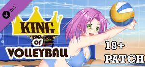 King of Volleyball Adults Only 18+ Patch banner
