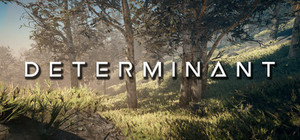 Determinant banner