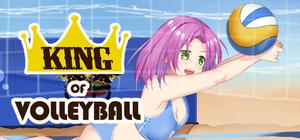King of Volleyball Gold Edition banner