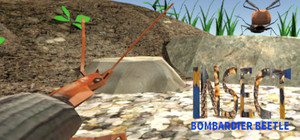 Insect: Bombardier beetle banner