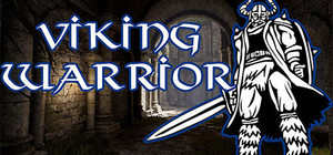 Viking Warrior banner