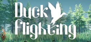 Duck Flighting banner