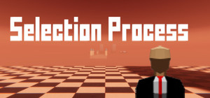 Selection Process banner