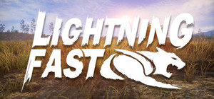 Lightning Fast banner
