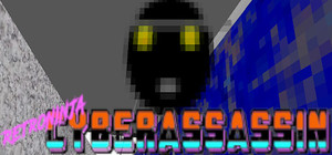 Retroninjacyberassassin banner