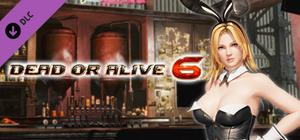 DOA6 Sexy Bunny Costume - Tina banner