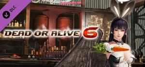 DOA6 Sexy Bunny Costume - Nyotengu banner