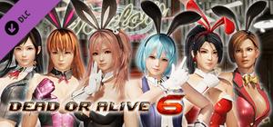 DOA6 Sexy Bunny Costume Set banner