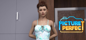 Picture Perfect banner