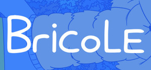 BRICOLE banner