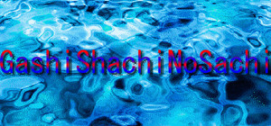 GashiShachiNoSachi banner