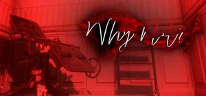 Why Not? banner