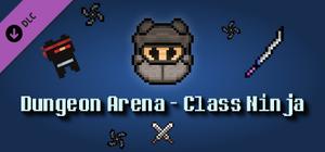 Dungeon Arena - Class Ninja banner