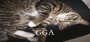 GGA banner