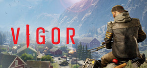 Vigor banner