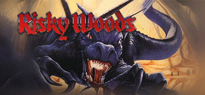 Risky Woods banner