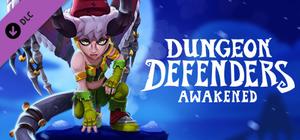Dungeon Defenders: Awakened - Winter Defenderland banner