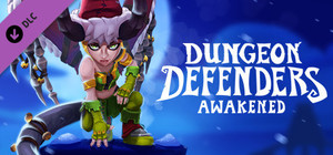 Dungeon Defenders: Awakened - Winter Defenderland banner