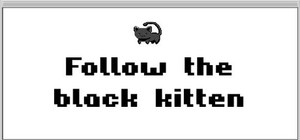 Follow the Black Kitten banner