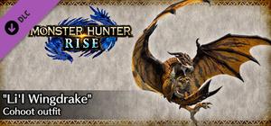 MONSTER HUNTER RISE - "Li'l Wingdrake" Cohoot outfit banner