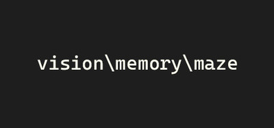 visionmemorymaze