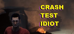 CRASH TEST IDIOT banner